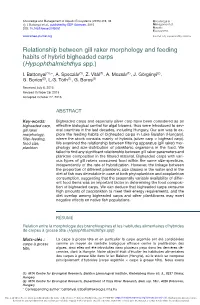 Relationship Between Gill Raker Morphology and Feeding Habits of Hybrid Bigheaded Carps (Hypophthalmichthys Spp.)