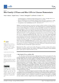 Rho Family Gtpases and Rho Gefs in Glucose Homeostasis