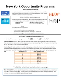 New York Opportunity Programs What Is an Opportunity Program?