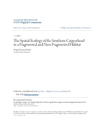 The Spatial Ecology of the Southern Copperhead in a Fragmented and Non-Fragmented Habitat
