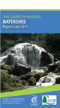 Watershed Checkup