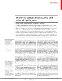Exploring Genetic Interactions and Networks with Yeast