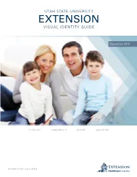 Extension Visual Identity Guide