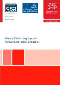 Minority Ethnic Language and Achievement Project Evaluation