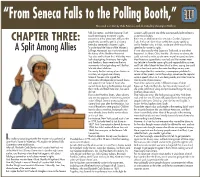 From Seneca Falls to the Polling Booth,” DAILY TIMES This Serial Is Written by Mike Peterson, and Illustrated by Christopher Baldwin
