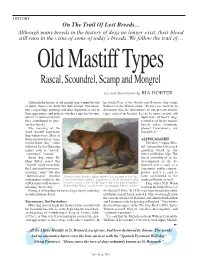 Old Mastiff Types Rascal, Scoundrel, Scamp and Mongrel