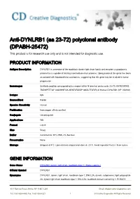 Anti-DYNLRB1 (Aa 23-72) Polyclonal Antibody (DPABH-25472) This Product Is for Research Use Only and Is Not Intended for Diagnostic Use