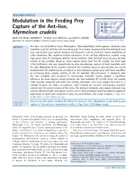 Modulation in the Feeding Prey Capture of the Antlion, Myrmeleon Crudelis
