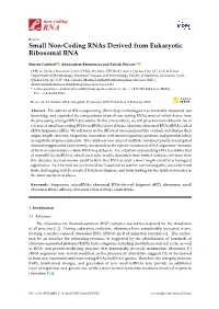 Small Non-Coding Rnas Derived from Eukaryotic Ribosomal RNA