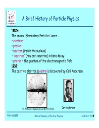 A Brief History of Particle Physics