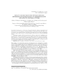 Molecular Analysis of Poultry Meat Spoiling Microbiota and Heterogeneity of Their Proteolytic and Lipolytic Enzyme Activities