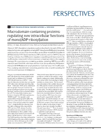 Regulating New Intracellular Functions of Mono(ADP-Ribosyl)Ation Karla L