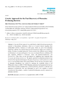 Genetic Approach for the Fast Discovery of Phenazine Producing Bacteria