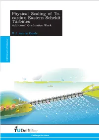 Physical Scaling of Tocardo's Eastern Scheldt Turbines