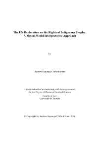 The UN Declaration on the Rights of Indigenous Peoples: a Mixed-Model Interpretative Approach