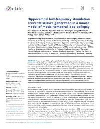 Hippocampal Low-Frequency Stimulation Prevents Seizure Generation in a Mouse Model of Mesial Temporal Lobe Epilepsy