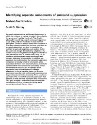 Identifying Separate Components of Surround Suppression