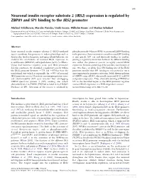 Neuronal Insulin Receptor Substrate 2 (IRS2) Expression Is Regulated by ZBP89 and SP1 Binding to the IRS2 Promoter