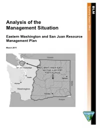 Analysis of the Management Situation