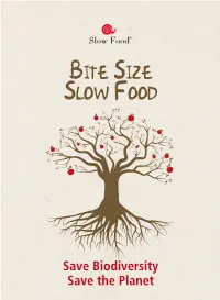 Bite Size Slow Food