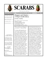 Dungers and Chafers –