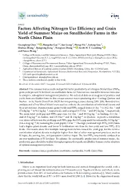 Factors Affecting Nitrogen Use Efficiency and Grain Yield Of