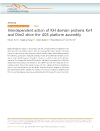 Interdependent Action of KH Domain Proteins Krr1 and Dim2 Drive the 40S Platform Assembly
