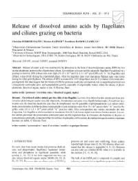 Release of Dissolved Amino Acids by Flagellates and Ciliates Grazing on Bacteria