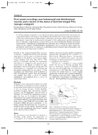 First Sound Recordings, New Behavioural and Distributional Records, and a Review of the Status of Scimitar-Winged Piha Lipaugus Uropygialis Rosalind Bryce,A