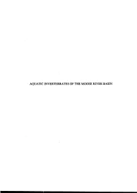 Aquatic Invertebrates of the Moose River Basin · an Initial Characterization of Aquatic Invertebrate Community :~Tructure in the Moose River Basin, Ontario