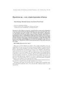 Hypoderma Sp. – Rare, Atypical Parasites of Horses