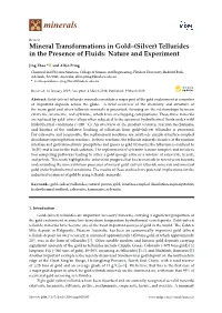 Mineral Transformations in Gold–(Silver) Tellurides in the Presence of Fluids: Nature and Experiment