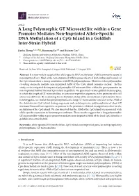A Long Polymorphic GT Microsatellite Within a Gene Promoter Mediates Non-Imprinted Allele-Speciﬁc DNA Methylation of a Cpg Island in a Goldﬁsh Inter-Strain Hybrid