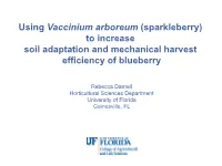 Using Vaccinium Arboreum (Sparkleberry) to Increase Soil Adaptation and Mechanical Harvest Efficiency of Blueberry