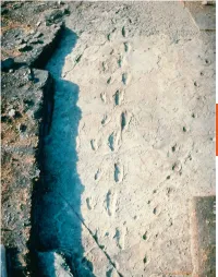 0205683290.Pdf
