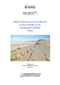 Beach Dynamics and Recreational Access Changes on an Earthquake-Uplifted Coast