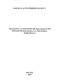 Dalechampia COM ÊNFASE EM Dalechampia Sect