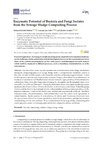 Enzymatic Potential of Bacteria and Fungi Isolates from the Sewage Sludge Composting Process
