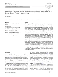 Honeybee Foraging, Nectar Secretion, and Honey Potential of Wild Jujube Trees, Ziziphus Nummularia
