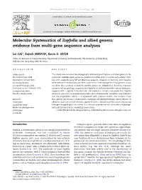 Molecular Systematics of Zopfiella and Allied Genera