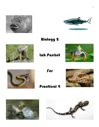 Biology 2 Lab Packet for Practical 4