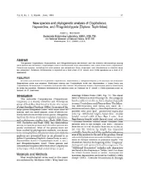 Djvu Document