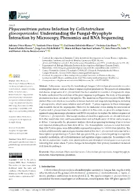 Physcomitrium Patens Infection by Colletotrichum Gloeosporioides: Understanding the Fungal–Bryophyte Interaction by Microscopy, Phenomics and RNA Sequencing