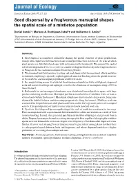 Seed Dispersal by a Frugivorous Marsupial Shapes the Spatial Scale of a Mistletoe Population