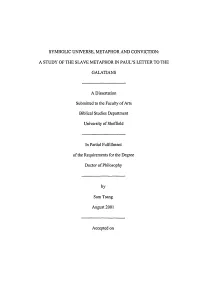 Symbolic Universe, Metaphor and Conviction