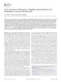 ACOT7 in Brain 2013