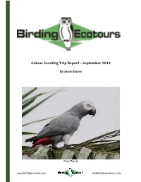 Gabon: Scouting Trip Report – September 2014