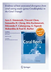 In the Coral Triangle