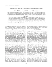 New Decapods from the Navidad Formation (Miocene) of Chile