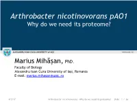Arthrobacter Nicotinovorans Pao1 Why Do We Need Its Proteome?